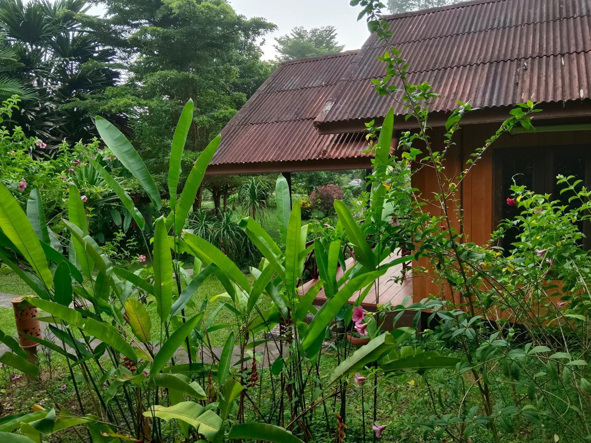 Khao Sok River & Jungle Resort Khao Sok National Park Room photo